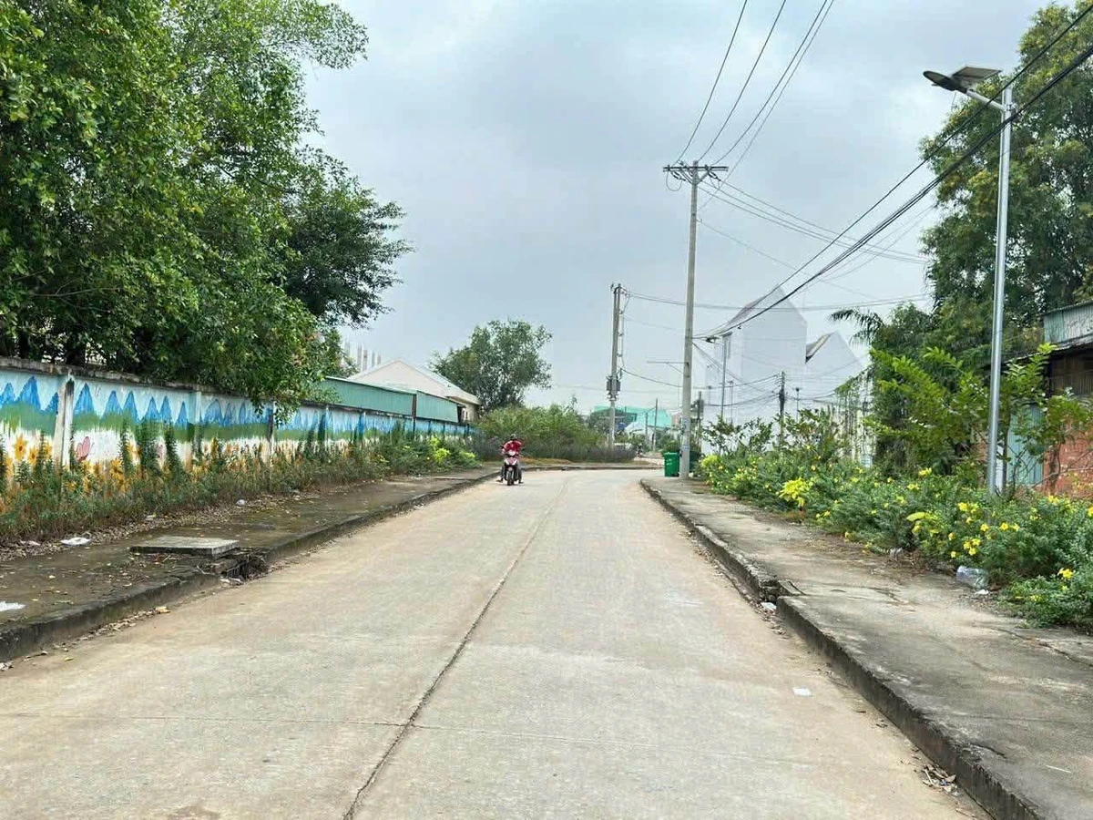 Bán nền đất 100m2 mặt tiền tại KDC Ấp 4 Lương 1 tỷ 370 triệu - Ảnh thu nhỏ 2