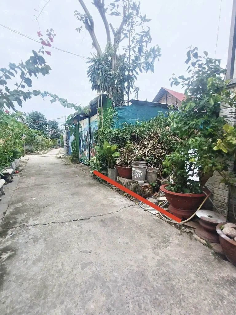 Bán đất thổ cư 4x24 (96m2) hẻm Cử Luyện, phường 5, Tân An, giá 800 triệu - Ảnh thu nhỏ 2