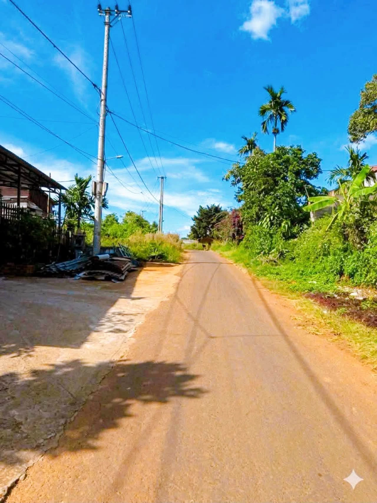 Bán đất mặt tiền Nam Kỳ Khởi Nghĩa 680 m², Lâm Đồng 780 triệu - Ảnh 1