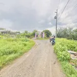 Bán đất Ấp 4 Đức Hoà Đông 177,5m² - 1 tỷ 186 triệu - Ảnh thu nhỏ 3
