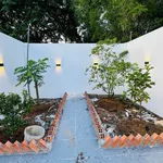 Bán nhà gác lửng sân vườn 153m² Phước Lý Tây Ninh 2,55 tỷ - Ảnh thu nhỏ 4