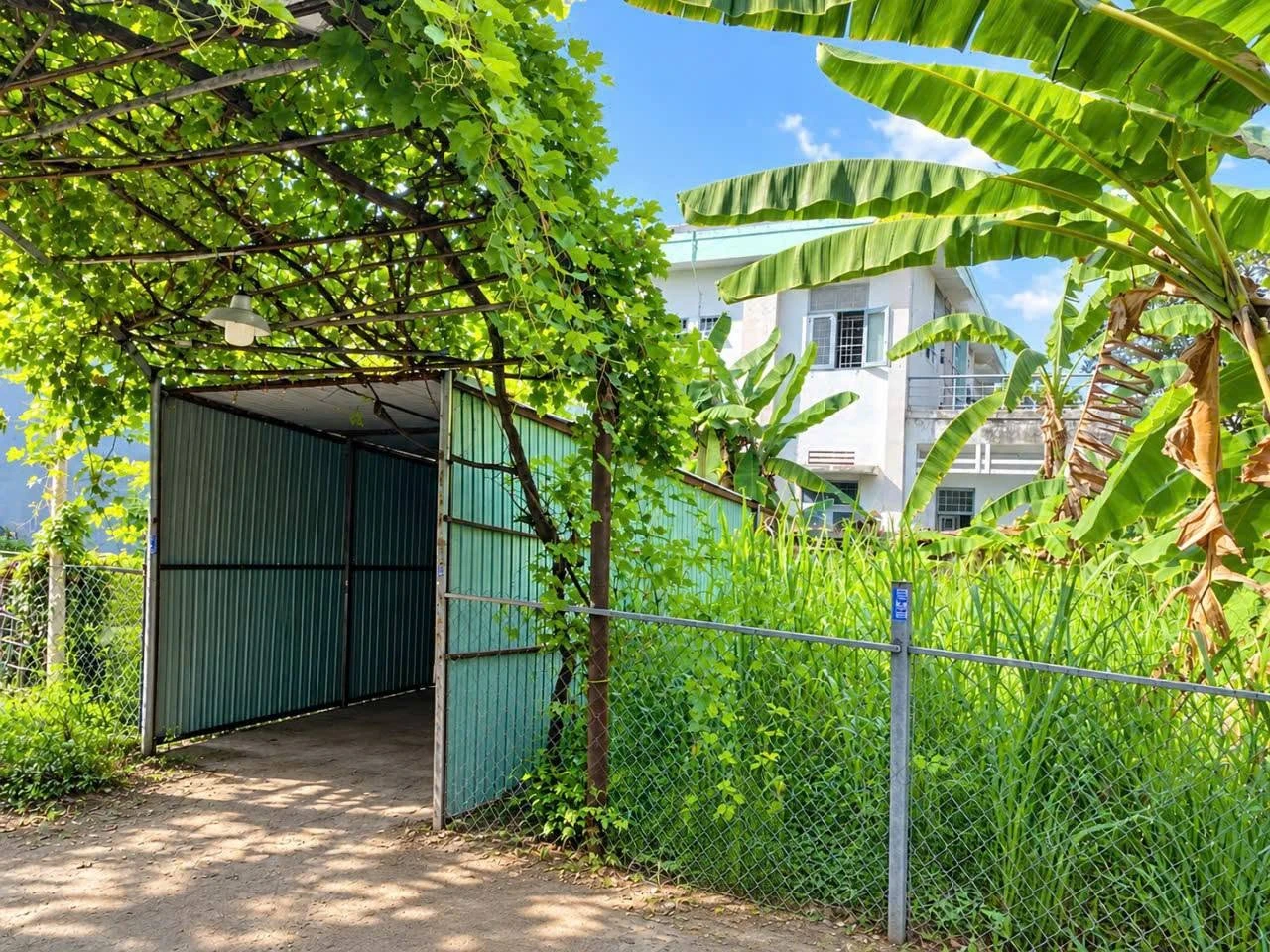 Bán đất 145,7m² đối diện Trường Ngô Thời Nhiệm 12,6 tỷ - Ảnh 1
