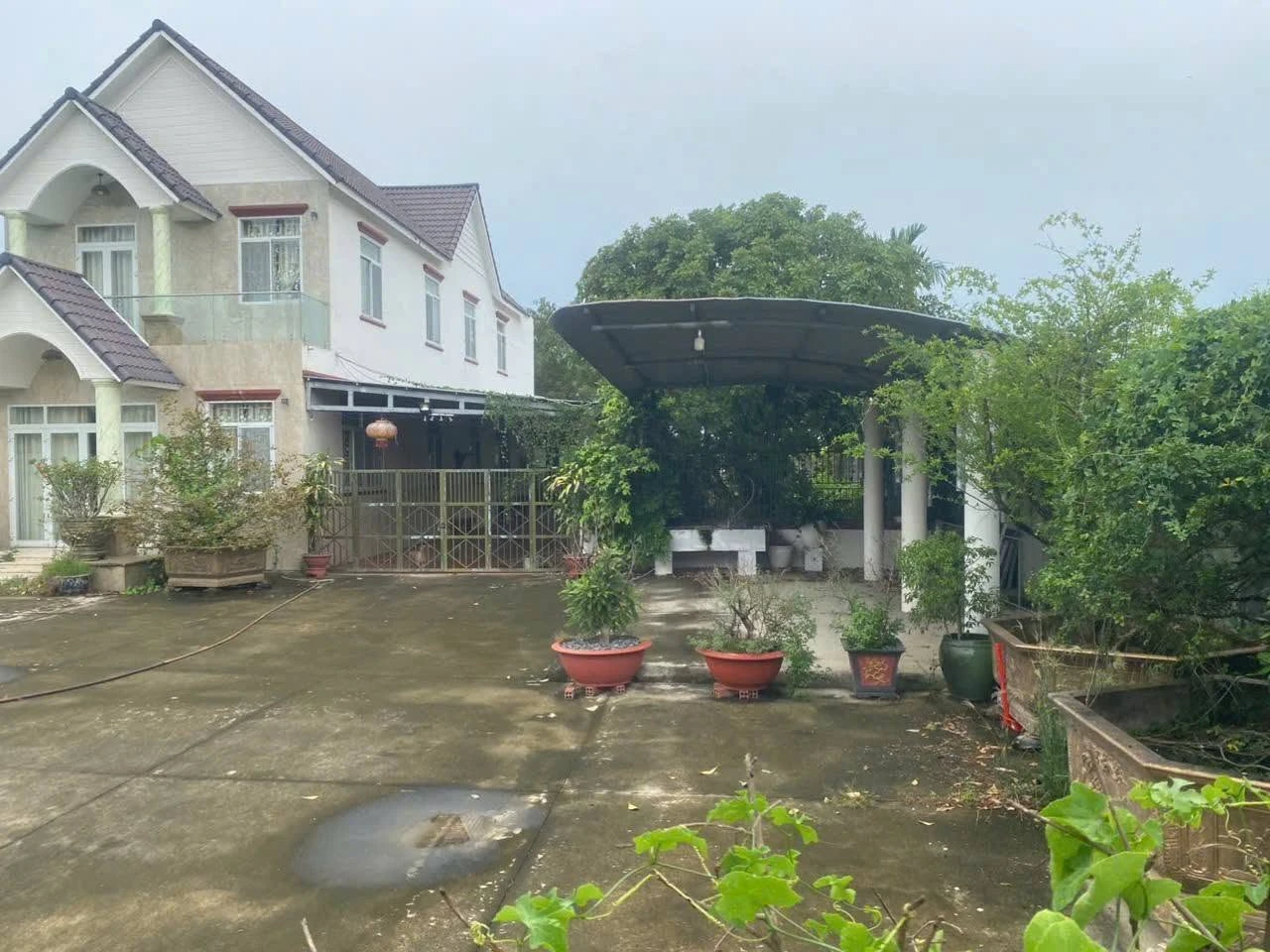 Bán biệt thự 2000m² Bến Lức Long An, giá 15,95 tỷ - Ảnh 1