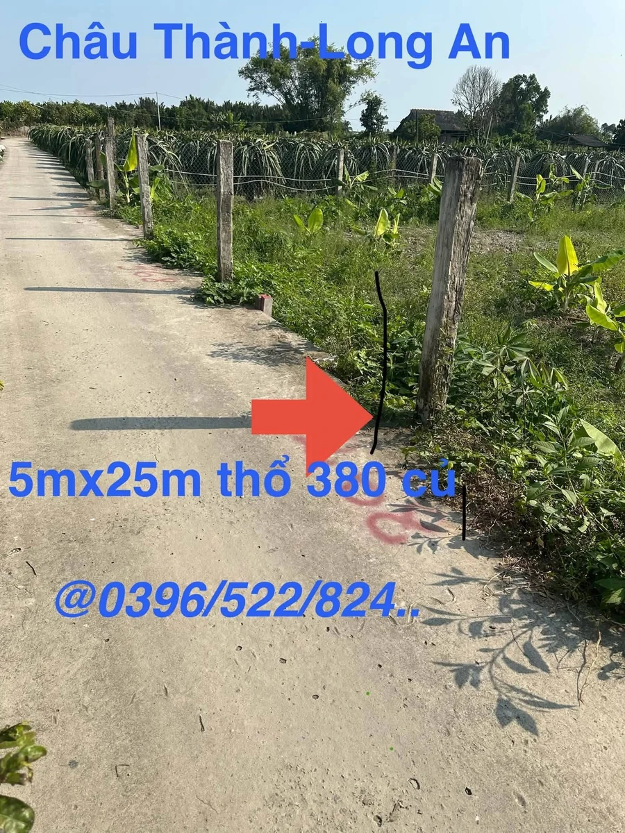 Bán đất thổ Phú Ngã Trị Châu Thành Long An 125m² 380 triệu - Ảnh thu nhỏ 4