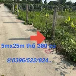 Bán đất thổ Phú Ngã Trị Châu Thành Long An 125m² 380 triệu - Ảnh thu nhỏ 4