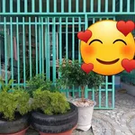Bán nhà cấp 4 đường Tôn Thất Tùng, KDC Phường 5, Bạc Liêu, 4x25m, 3 phòng ngủ - Ảnh thu nhỏ 1