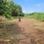 Bán đất 1000m² Bình Thắng, Bù Gia Mập, Bình Phước - Ảnh thu nhỏ 1