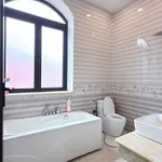 Bán nhà phố 3 phòng ngủ 205m2 mặt tiền ĐT743 Phú Lợi, Bình Dương - Ảnh thu nhỏ 5
