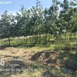 Bán gấp đất 1070m2 tại Ấp Yên Ngựa, ĐT 744, Định Thành, Dầu Tiếng, 7 tỷ VND - Ảnh thu nhỏ 3