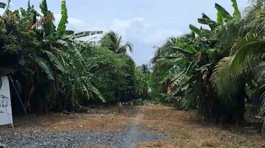 Bán nhà xưởng mặt tiền QL1A Mỹ Tho 3.133m2 - Ảnh thu nhỏ 4