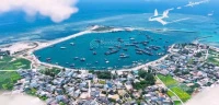 Quang Vinh chào bán 615m2 đất đồi vườn. QH đất ở. View biển. Lưng tựa núi. Cạnh dân cư và gần cảng - Ảnh thu nhỏ 5