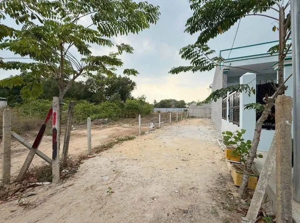 Đất bán Phú An 150m² giá 1 tỷ 590 triệu - Ảnh thu nhỏ 2