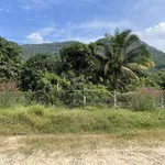 Bán 9500m vuông đất trồng CLN, quy hoạch lên đất ONT, sổ hồng riêng, chính chủ - Ảnh thu nhỏ 2