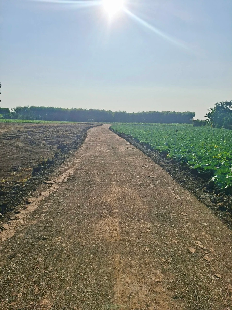 Bán đất Xuân Đông Đồng Nai 1000 m2 - Ảnh thu nhỏ 2