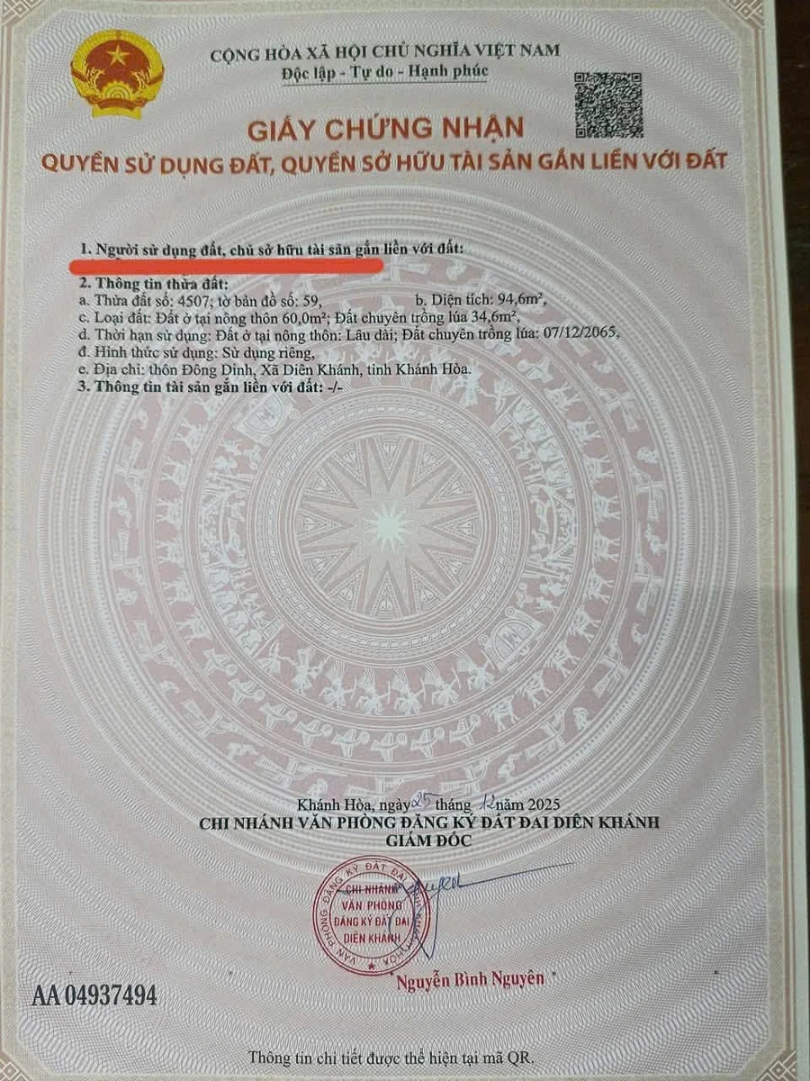 Bán đất Diên Toàn Đông Dinh 94,6m² giá 1 tỷ 650 triệu - Ảnh thu nhỏ 4