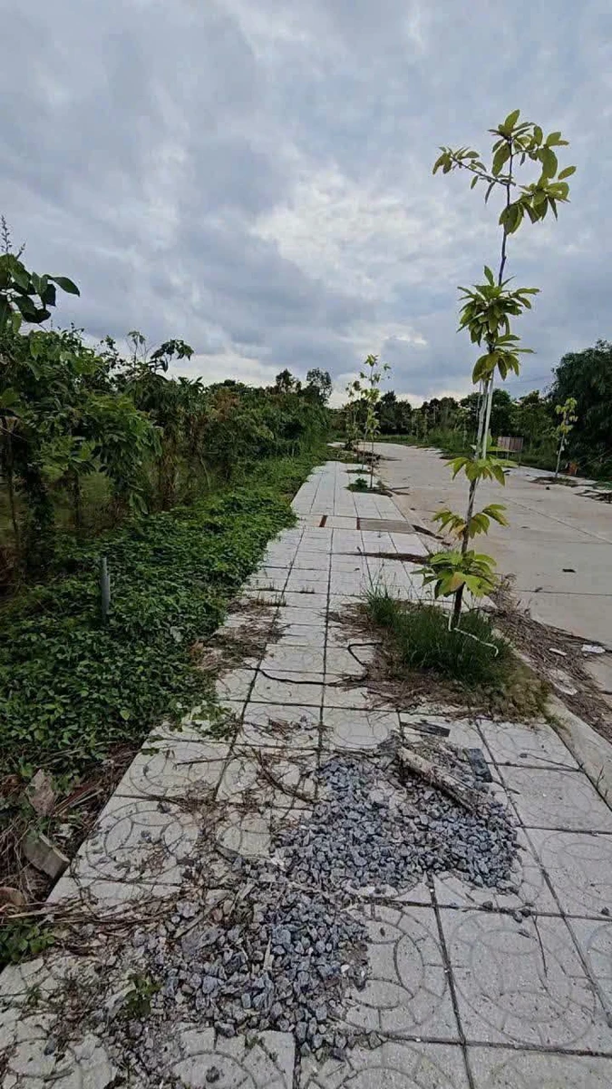 Bán 10 nền đất 110m² giá 699 triệu tại Rạch Giá - Ảnh thu nhỏ 3