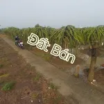 Bán đất lúa 2037m2 chuyển thổ được, 2 mặt tiền, giá 799 triệu tại Dương Xuân Hội, Châu Thành - Ảnh thu nhỏ 2