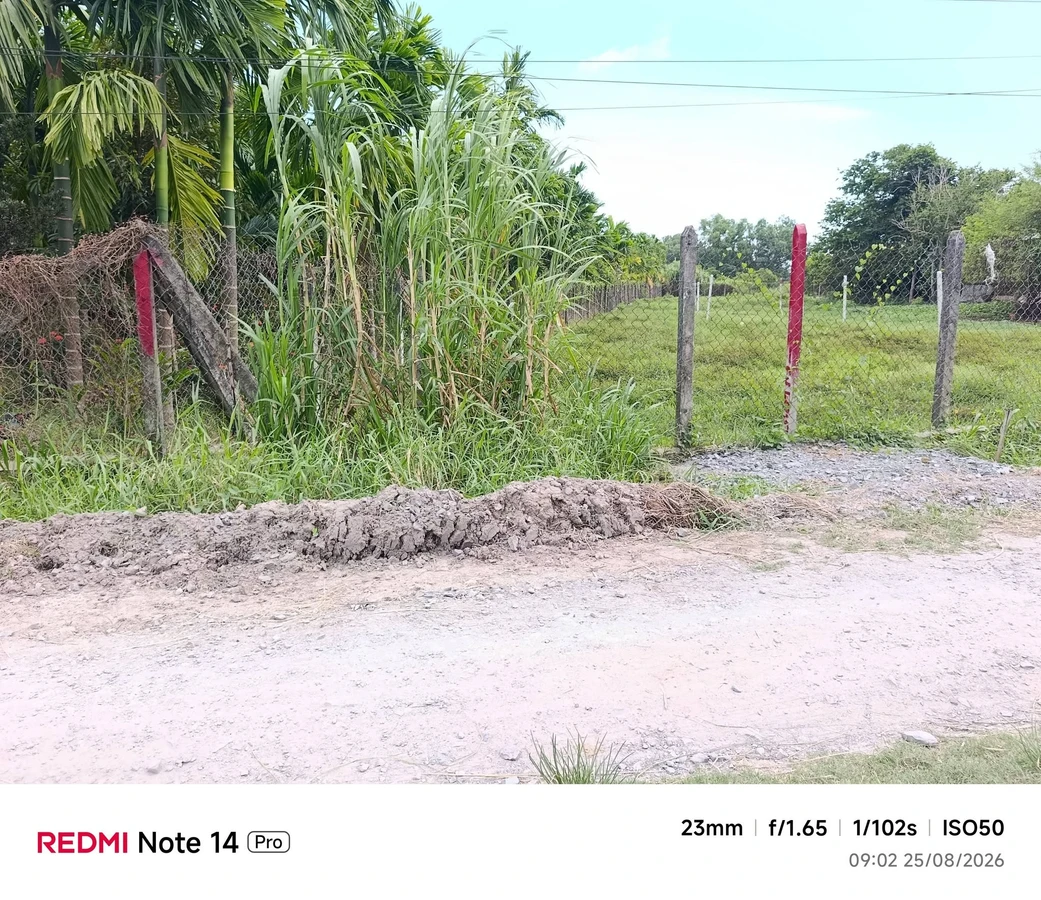 Bán đất Phường An Tịnh, Trảng Bàng, 50m², 590 triệu - Ảnh 1