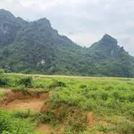 Bán đất vườn 911m2 Lương Sơn, Hòa Bình 7 tỷ - Ảnh thu nhỏ 4