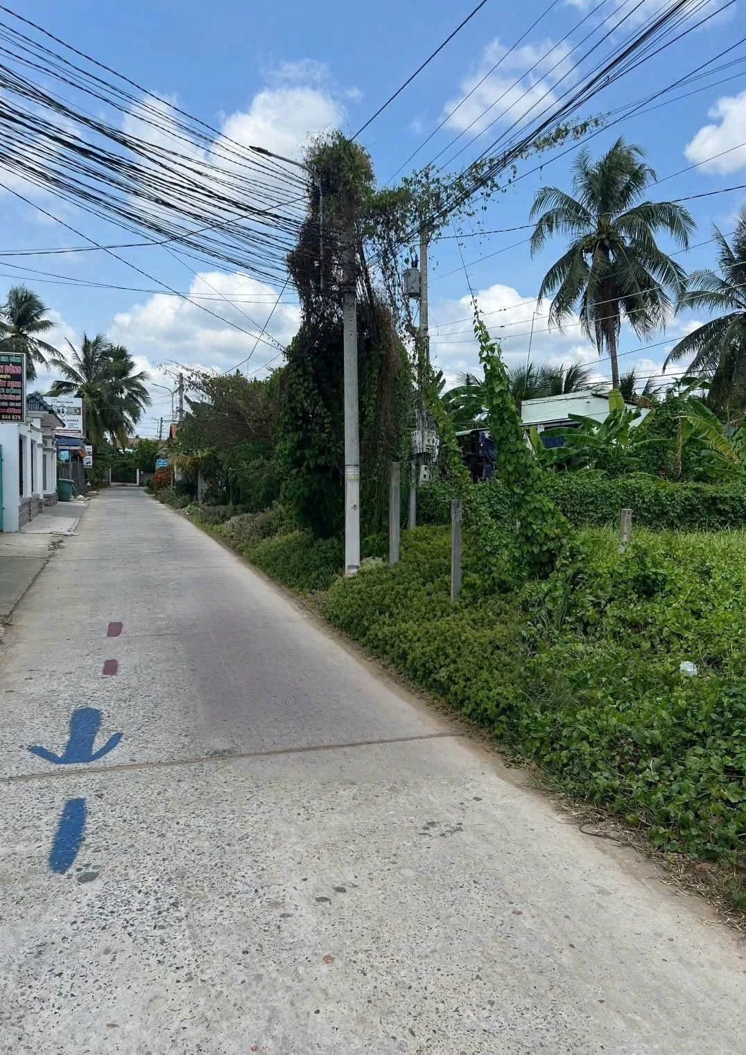 Bán nền đất 115m2 cách Cầu Vỉ 200m Nhà Bè - Ảnh 1