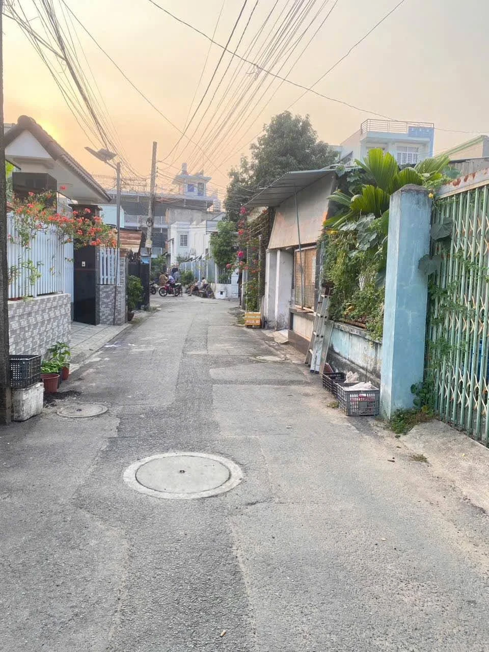 Bán đất 339m² gần Đại học Thủ Dầu Một, Bình Dương - Ảnh 1