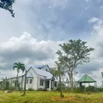 Bán 2ha đất nông nghiệp đường 19/5, view đồi đẹp - Ảnh thu nhỏ 1