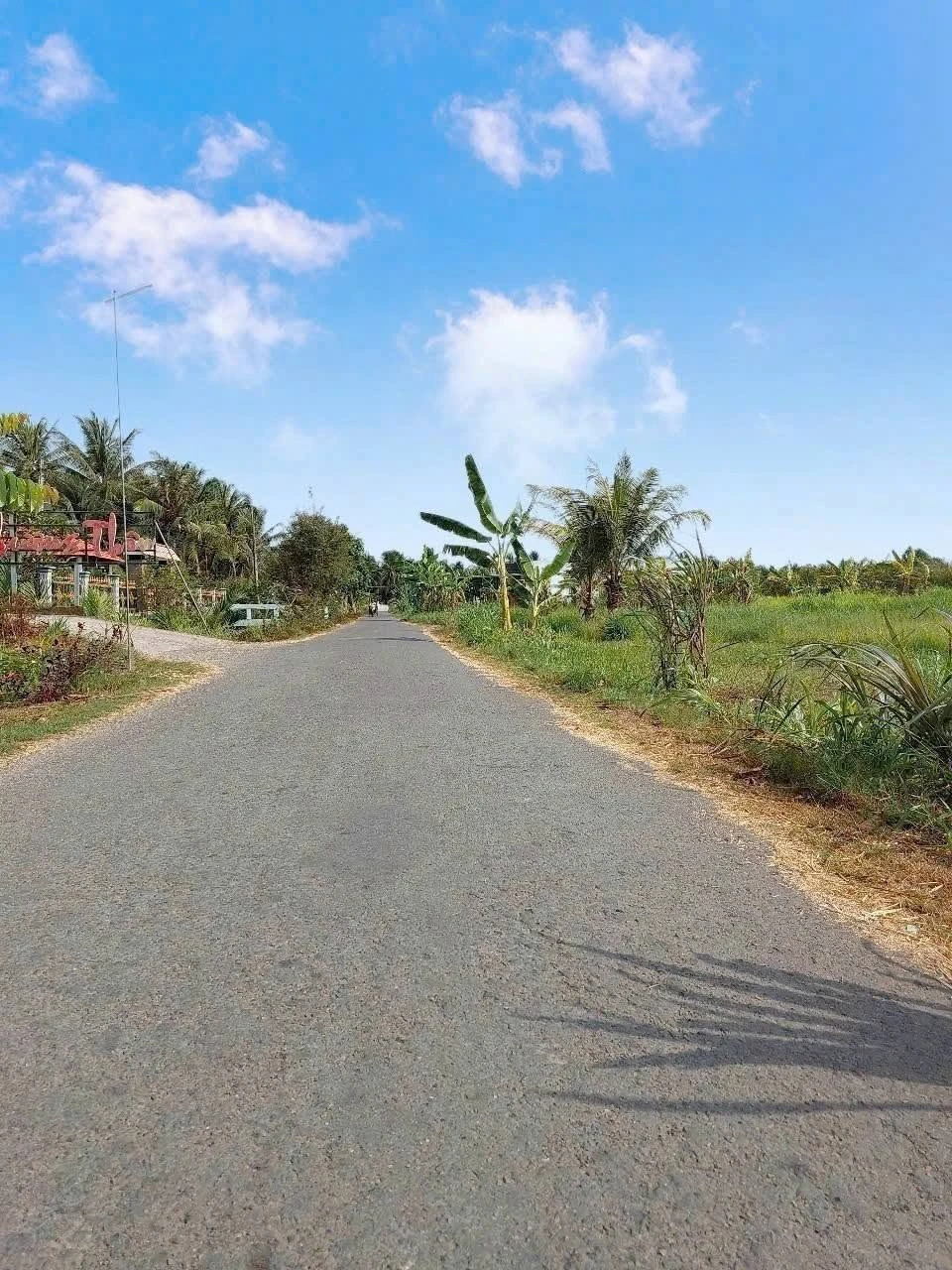 Bán đất nền 191m² thổ cư 390 triệu Giồng Trôm Bến Tre - Ảnh 1