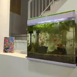 Cho thuê nhà 3 tầng 4 PN, 86m² Phạm Văn Nghị, Đà Nẵng - Ảnh thu nhỏ 4