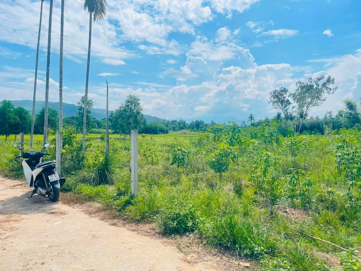 Bán vườn Nghĩa Thắng 3025m² giá 1 tỷ - Ảnh thu nhỏ 2