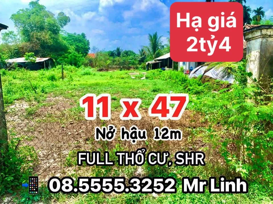 Bán đất thổ cư 541m² SHR Tây Ninh 2,4 tỷ - Ảnh 1
