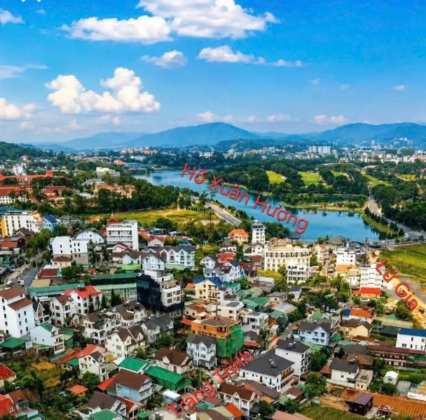 Bán lô đất 2 mặt tiền 665m² Trạng Trình, Đà Lạt