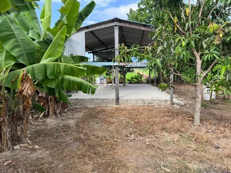 Bán đất Suối Hiệp Diên Khánh 139.4m² 569 triệu - Ảnh thu nhỏ 5