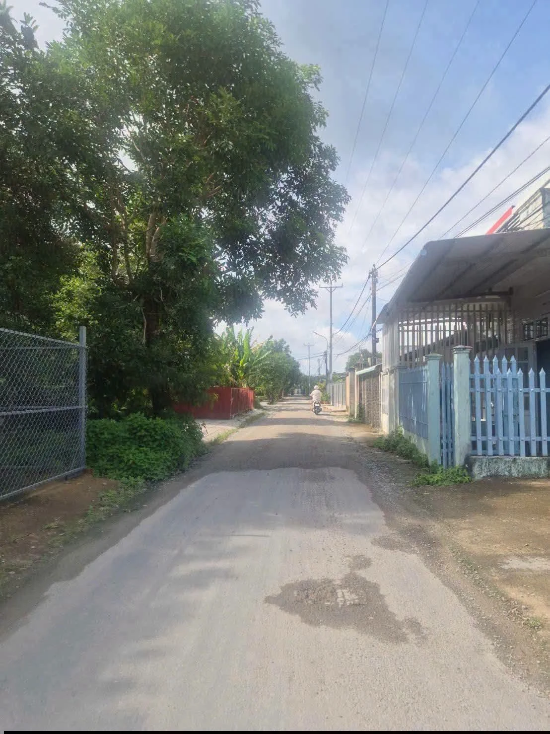 Bán nền đất lúa 450m² Ấp Vĩnh An Bạc Liêu 650 triệu - Ảnh 1