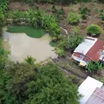 Bán đất vườn sầu riêng, ao cá tại Tà Lài, Đồng Nai 2,4 tỷ - Ảnh thu nhỏ 1