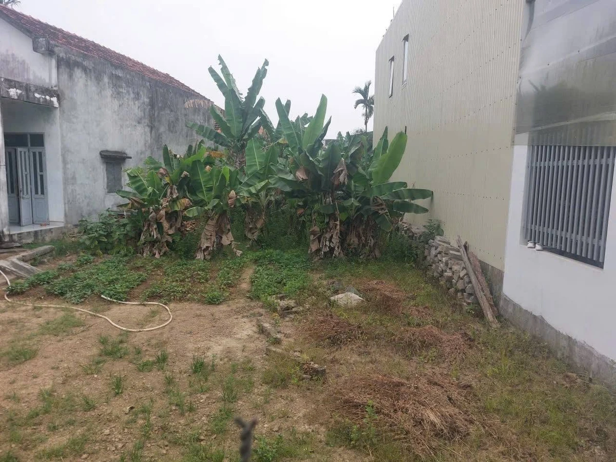 Bán đất Quận 12, 125m², 990 triệu - Ảnh thu nhỏ 3