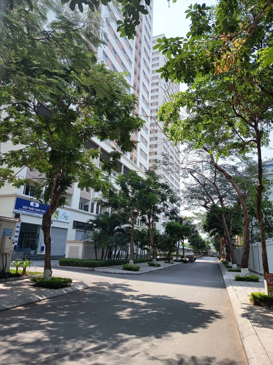 Bán biệt thự Đông Hội 145m2 mặt tiền 12m 31 tỷ - Ảnh thu nhỏ 4