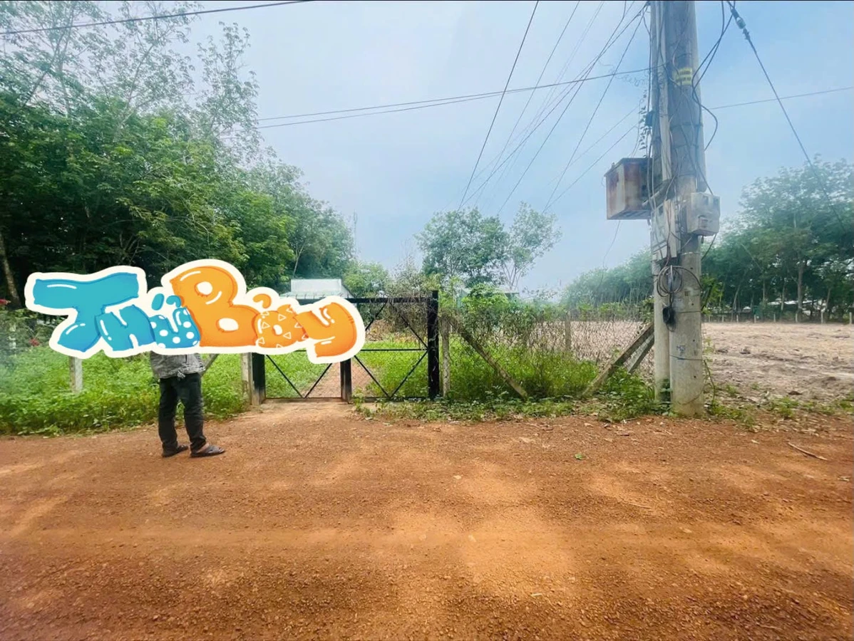Bán đất Sỏi đỏ Minh Thạnh 7x50m (350m²) 399 triệu - Ảnh 1