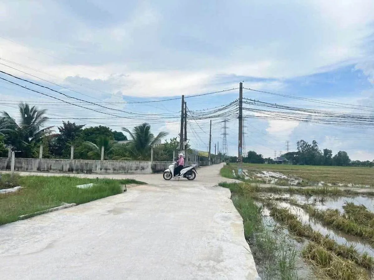 Bán đất Bình Chánh 115m² sổ hồng riêng 750 triệu - Ảnh thu nhỏ 2