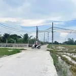 Bán đất Bình Chánh 115m² sổ hồng riêng 750 triệu - Ảnh thu nhỏ 2