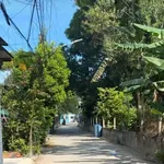 Bán đất mặt tiền Phú An 290m² Phú An - Ảnh thu nhỏ 1