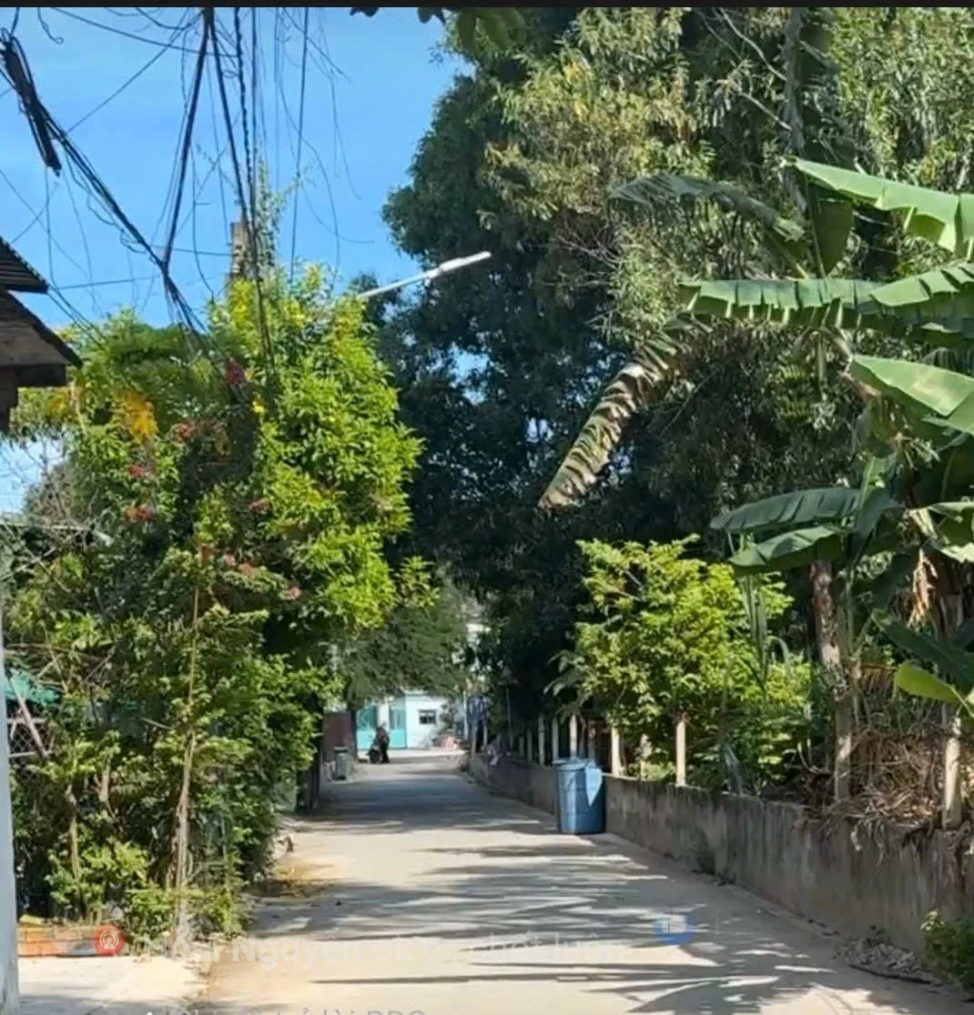 Bán đất mặt tiền Phú An 290m² Phú An - Ảnh 1