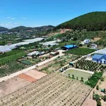 Bán đất Mê Linh giáp Đà Lạt 175m² 899 triệu - Ảnh thu nhỏ 3