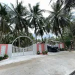 Bán đất vườn 150m2 có 100m2 thổ cư, đủ cây ăn trái, giá 295 triệu tại Tân Phú Đông, Tiền Giang - Ảnh thu nhỏ 4