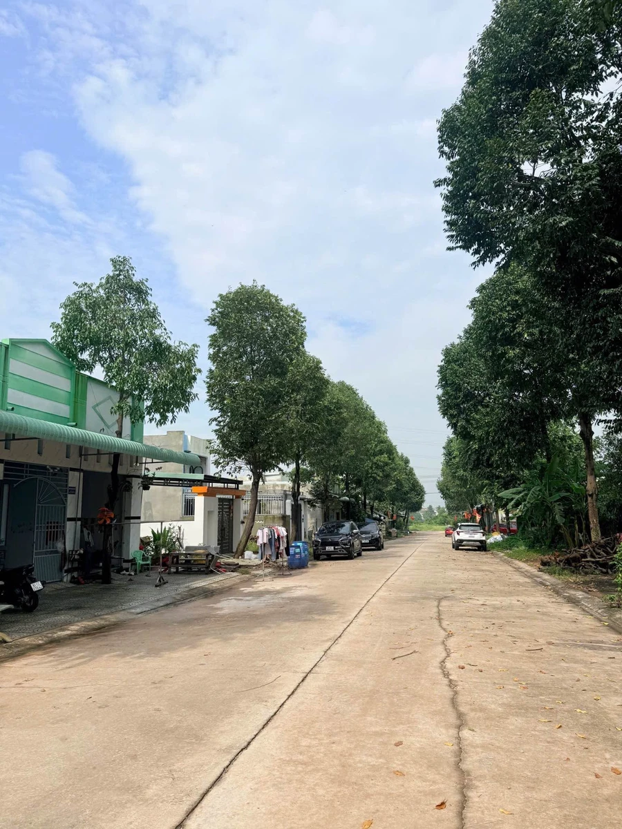 Bán lô đất 150m² Phường Thới Hoà, Bình Chánh - Ảnh thu nhỏ 2