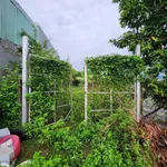 Bán đất Hóc Môn 153m² thổ cư, hẻm xe tải 2,8 tỷ - Ảnh thu nhỏ 1