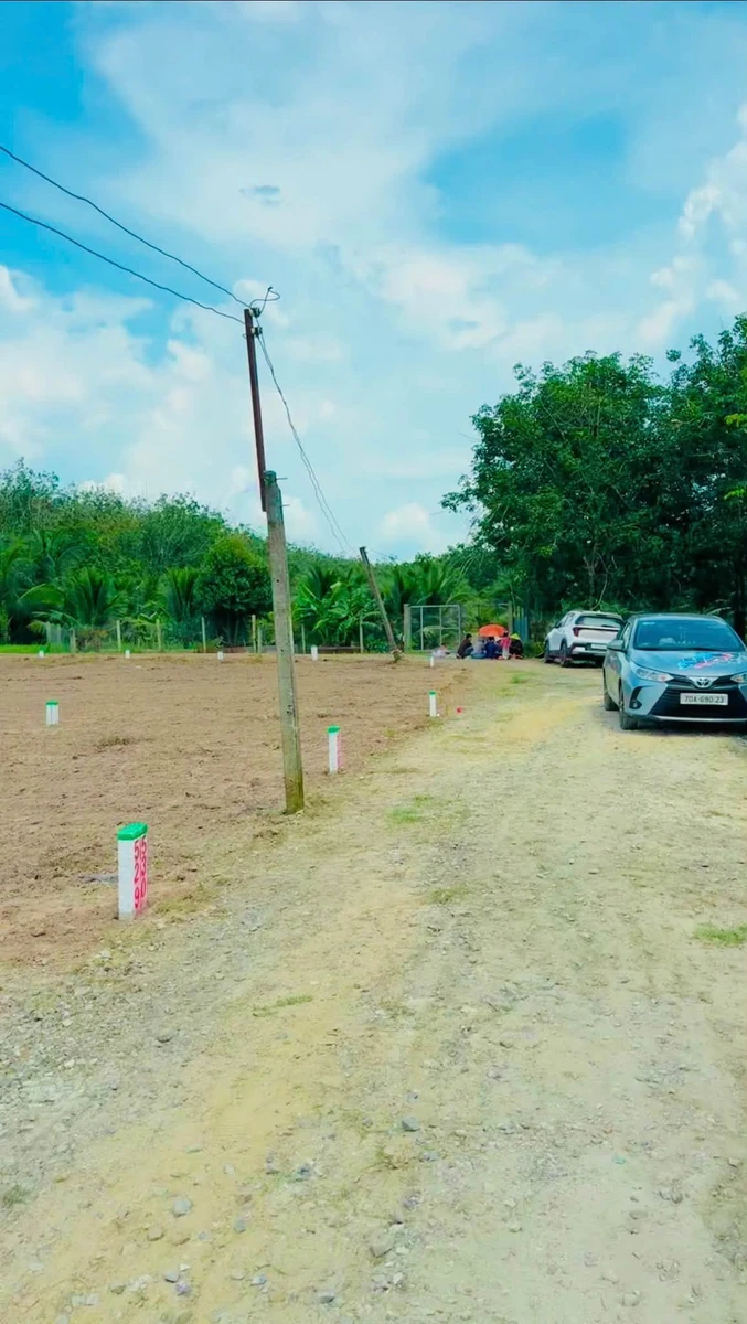 Bán đất nền Bình Lợi 125m² mặt tiền đường đá mi - Ảnh thu nhỏ 2
