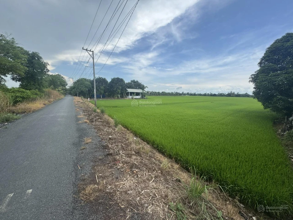 Bán đất full thổ cư P Mỹ Thới Long Xuyên An Giang. - Ảnh 1