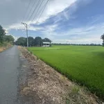 Bán đất full thổ cư P Mỹ Thới Long Xuyên An Giang. - Ảnh thu nhỏ 1