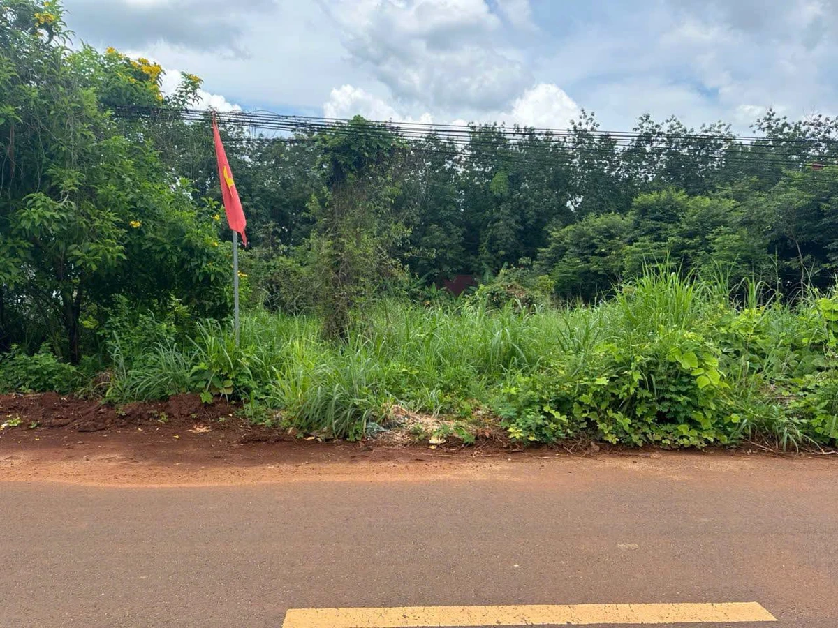 Bán đất nông thôn Bù Đốp 2100m² 490 triệu - Ảnh thu nhỏ 3