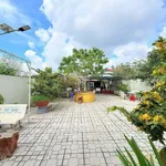 Bán nhà 1 trệt 1 lầu 400m² 4.5 tỷ Bến Tre - Ảnh thu nhỏ 5